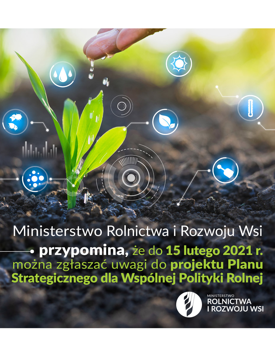 Konsultacje społeczne w sprawie projektu Planu Strategicznego dla Wspólnej Polityki Rolnej