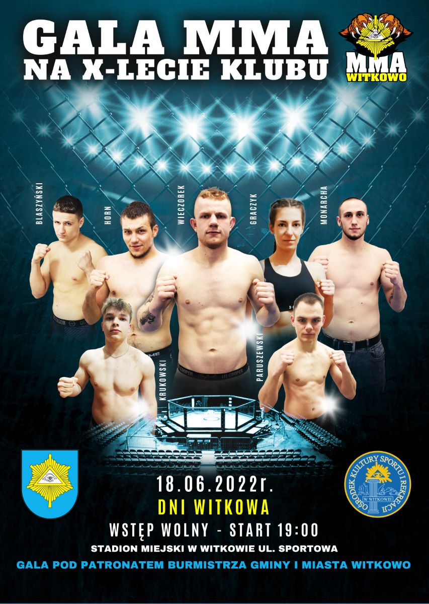 p plakat MMA