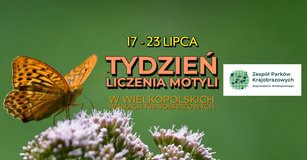 tydzien liczenia motyli fb cover 1 2 1024x536